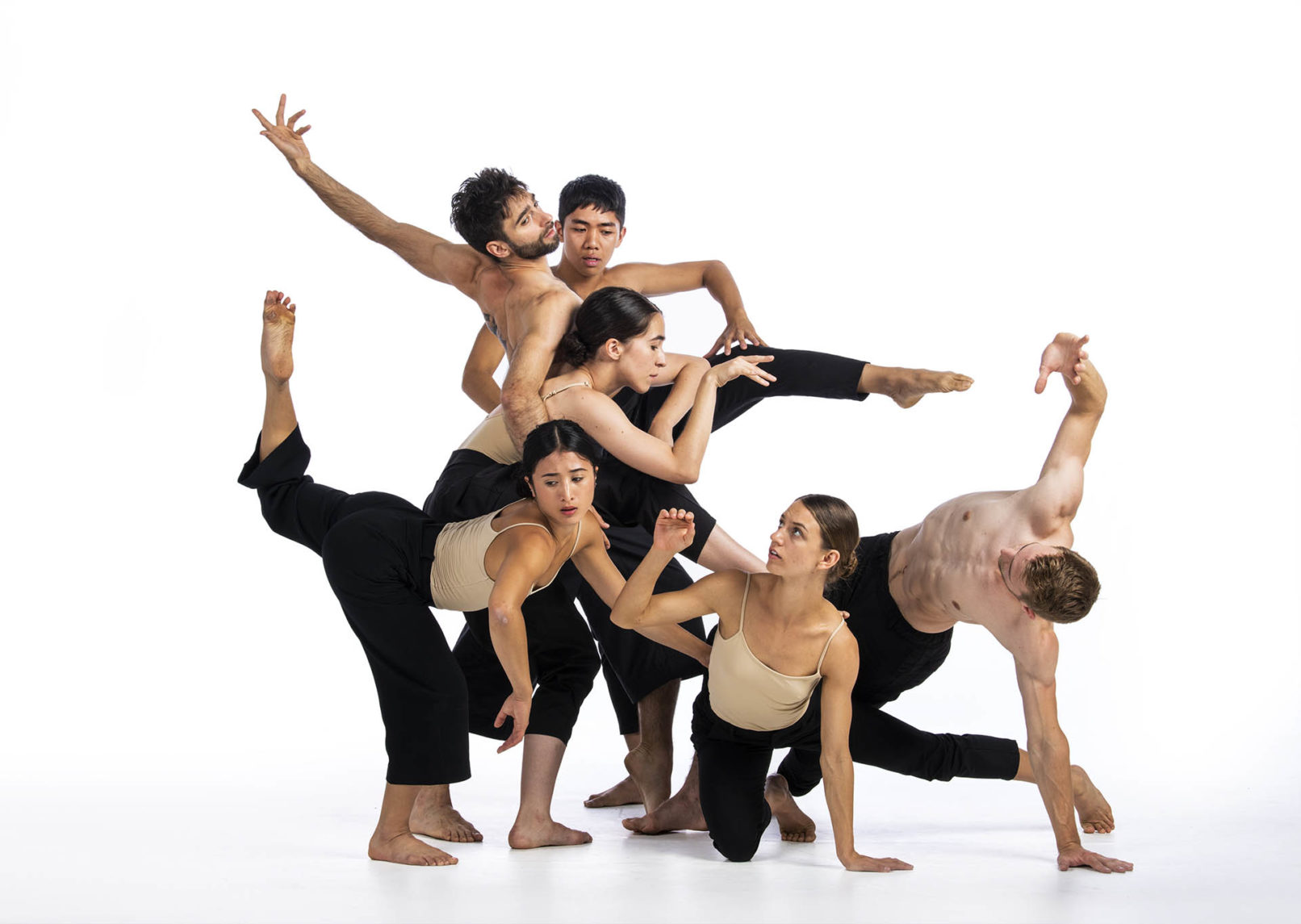 Flying White, photo by Emily Cooper.